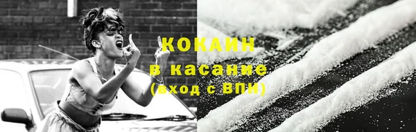 шишки Елизово