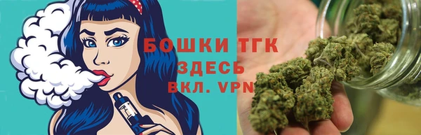 шишки Елизово