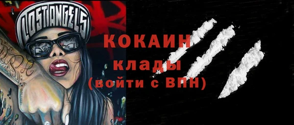 шишки Елизово