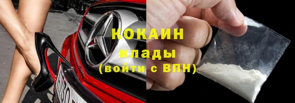 шишки Елизово