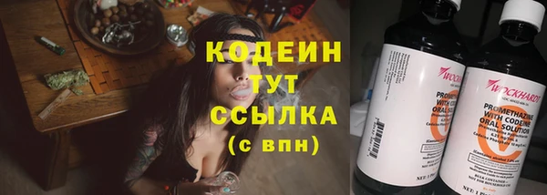 шишки Елизово