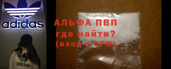 стафф Ельня