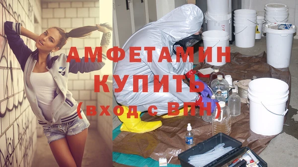 шишки Елизово