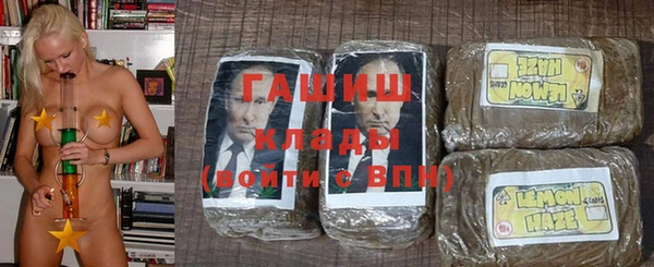 шишки Елизово