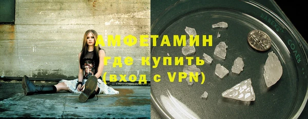 шишки Елизово