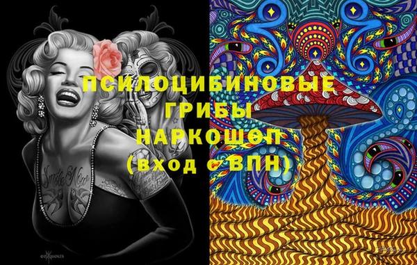 стафф Ельня