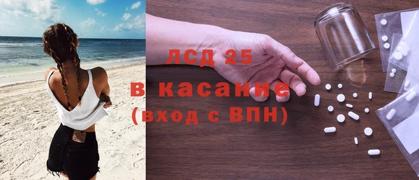 стафф Ельня