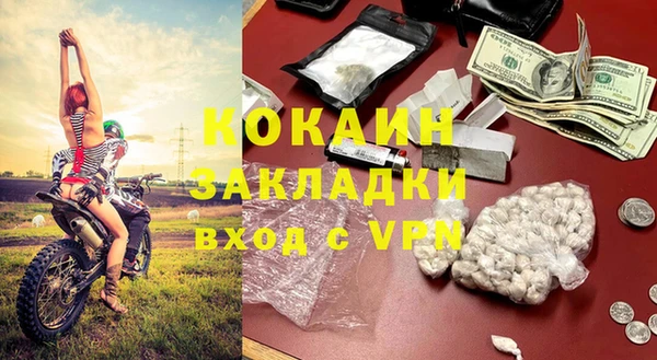 шишки Елизово