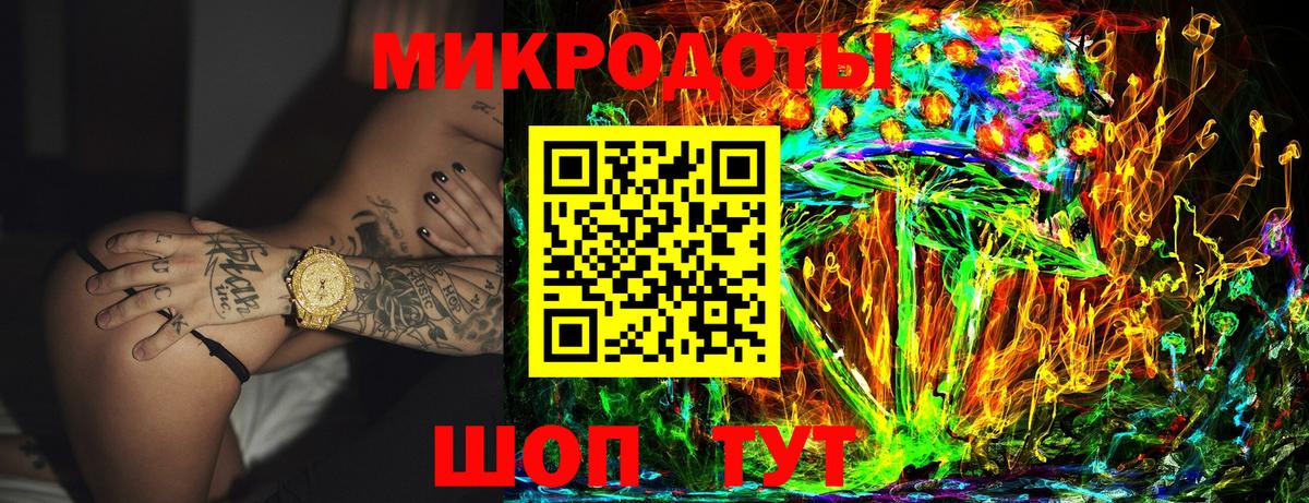 Псилоцибиновые грибы Psilocybine cubensis Смоленск