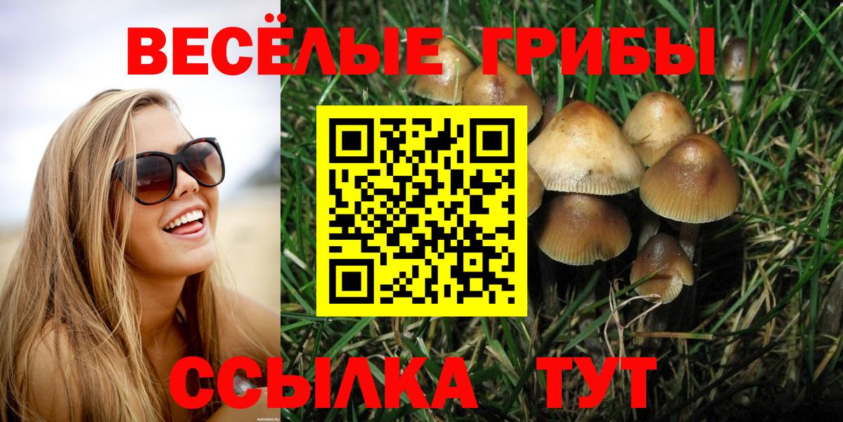 наркота  Псилоцибиновые грибы ЛСД  Вход с VPN  Смоленск 